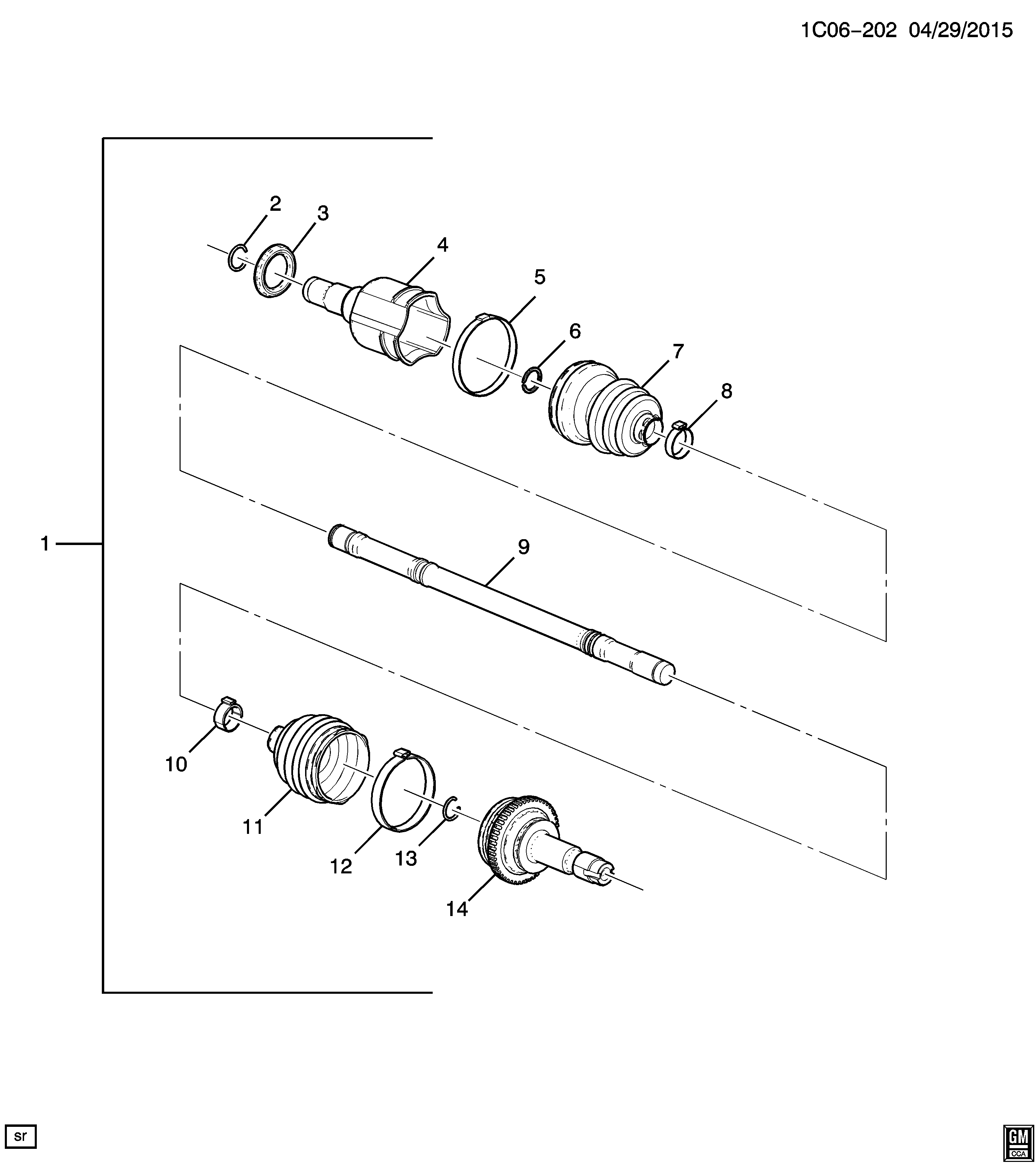 جلدة عكس امامي خارجية,ربلة عكس امامي خارجية