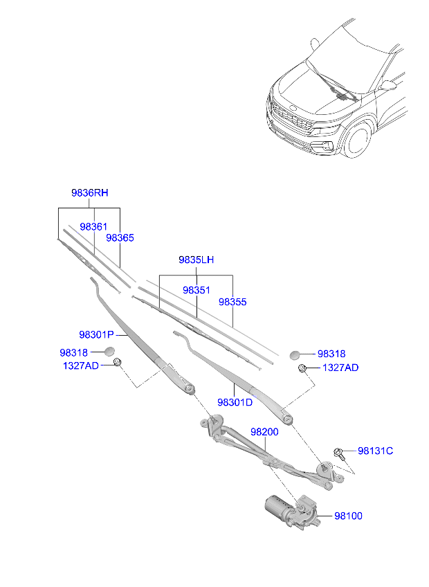 دينمو المساحات
