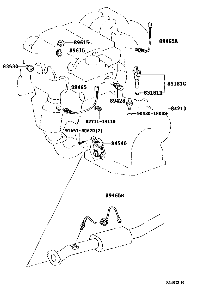 جلدة, مسمار