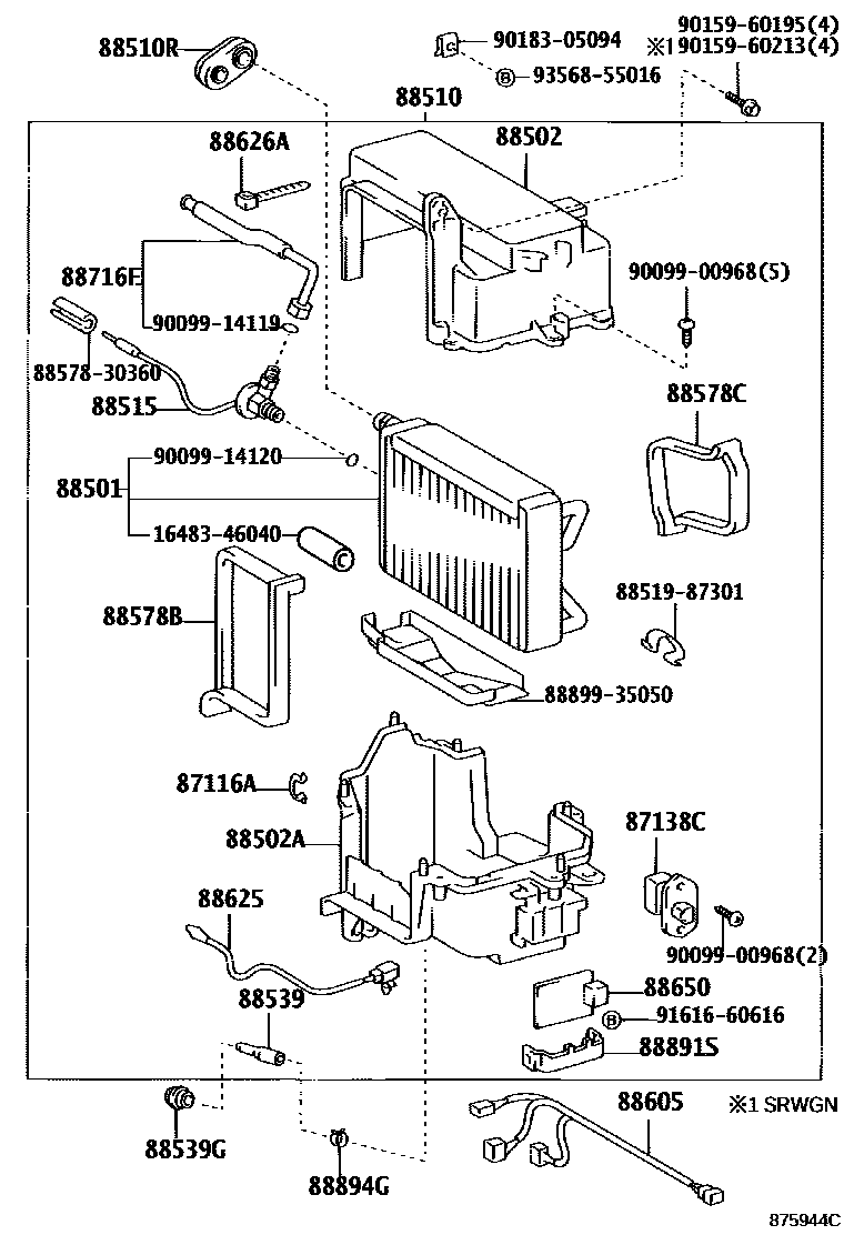 مسمار, جلدة